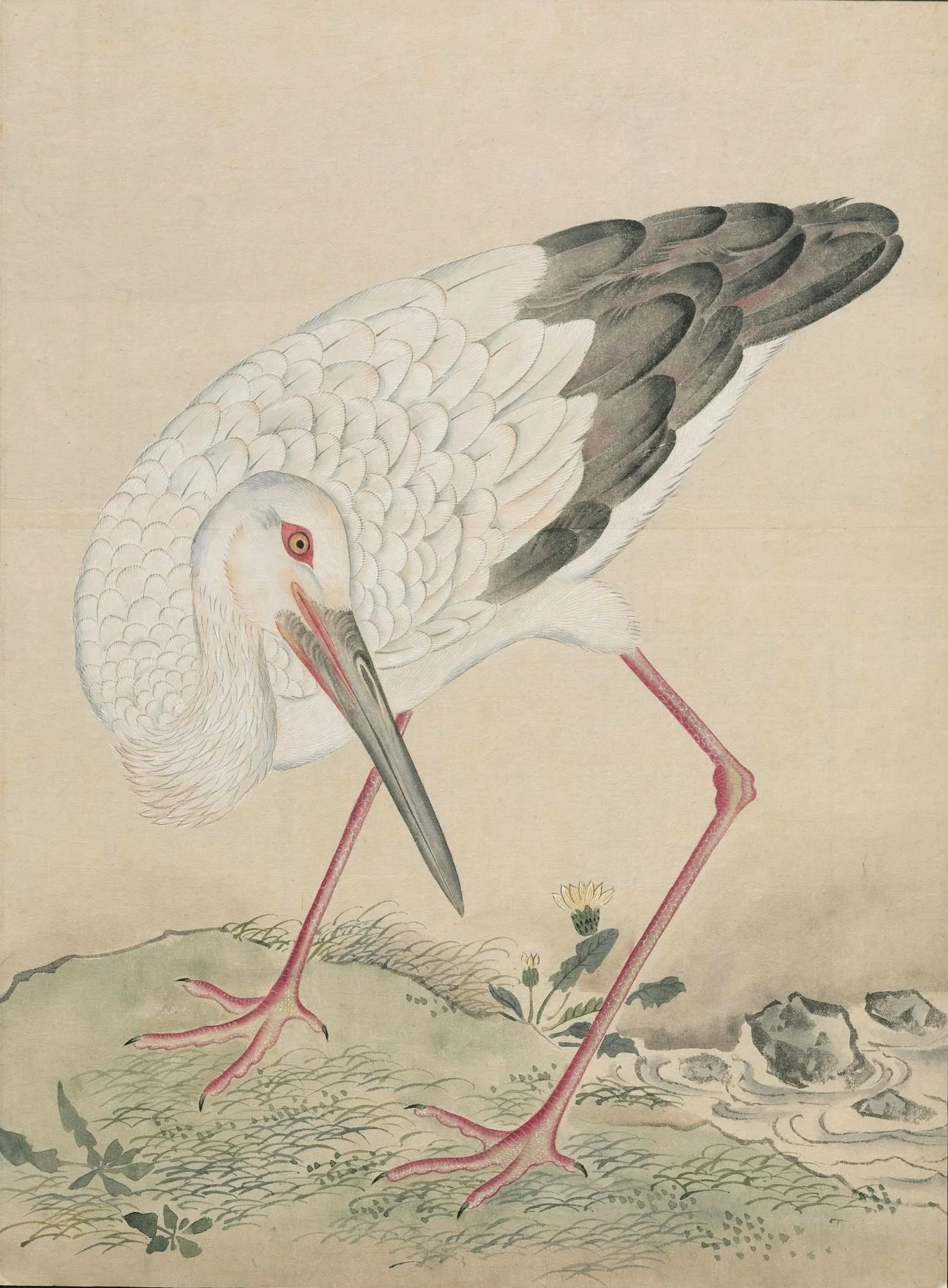 Chinese Ink Watercolor Bird Sketch Crane Classic Canvas Paintings