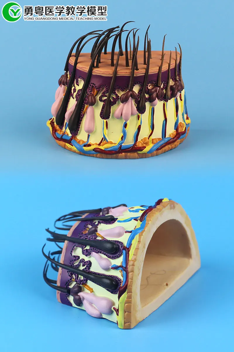 TB2qhuZaTZKL1JjSZFIXXX_DFXa_!!628177005