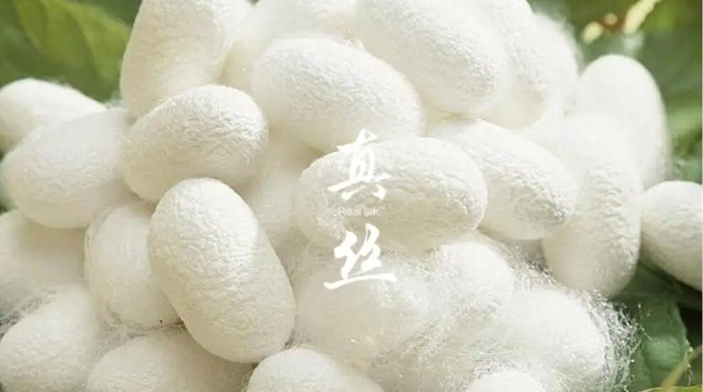 QQ20170822132431