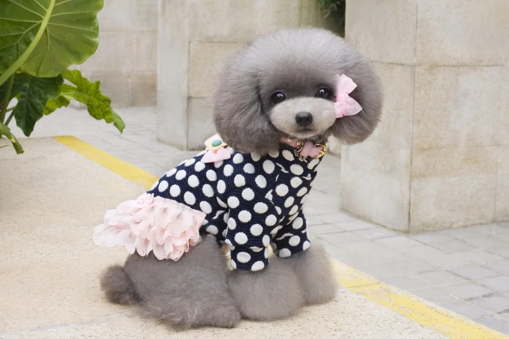 Зимнее теплое новое платье для собак, одежда высокого качества, милые цветочные платья принцессы для щенков, кошек, Тедди, розовый свитер
