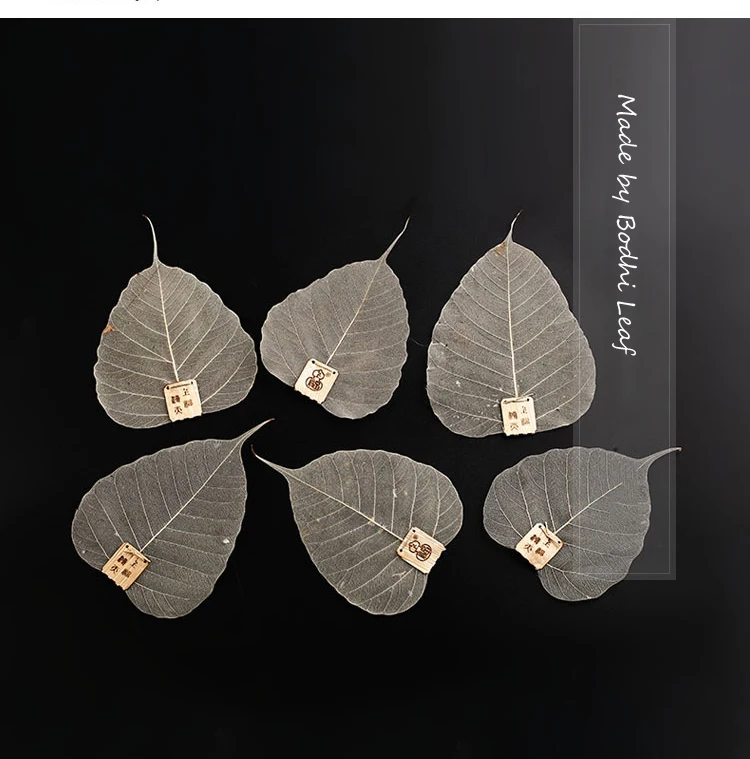 TB27pQghq8lpuFjy0FpXXaGrpXa_!!164195229