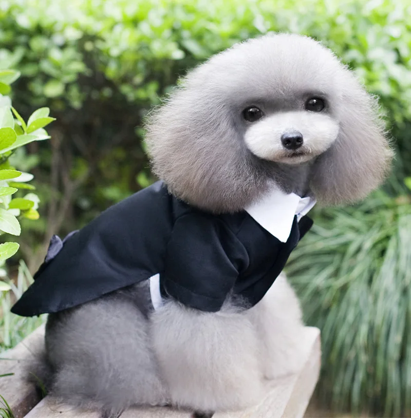 

Black Dog Clothes Bowtie Formal Jumpsuit Jacket Coat Shirt Grooom Tuxedo Pet Consumes Clothing for Small Dogs XS S M L XL XXL