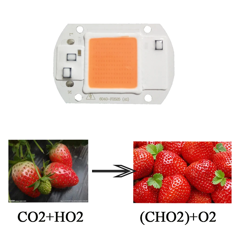 Levou Crescer Luzes levou chip de espectro completo Marca : yb Yiba