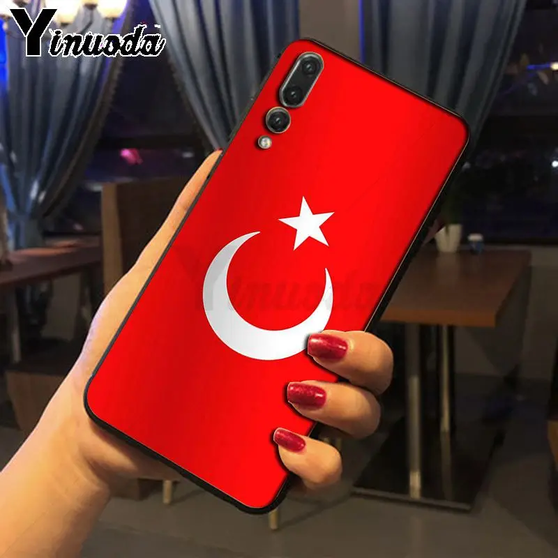 Flag of Istanbul Turkey wolf