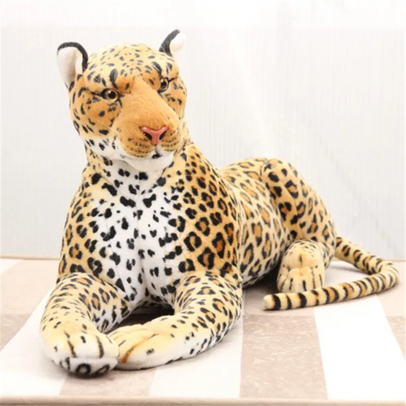 leopard10