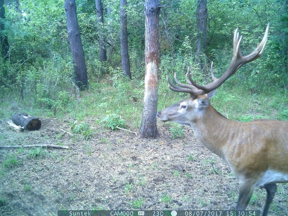 6199759562_1870391916