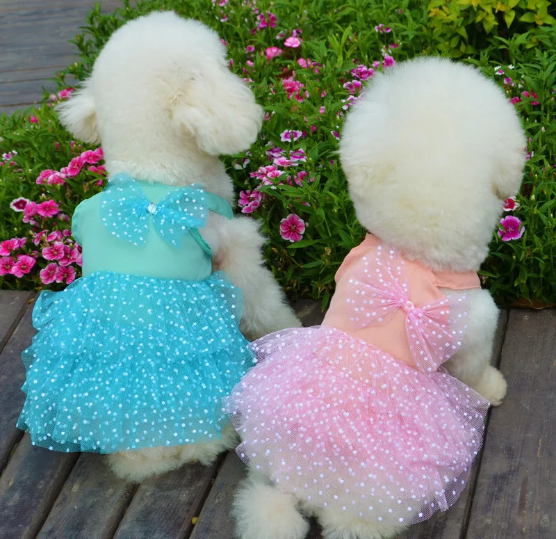 Buy Ropa Perritas French Poodle | UP TO 57% OFF