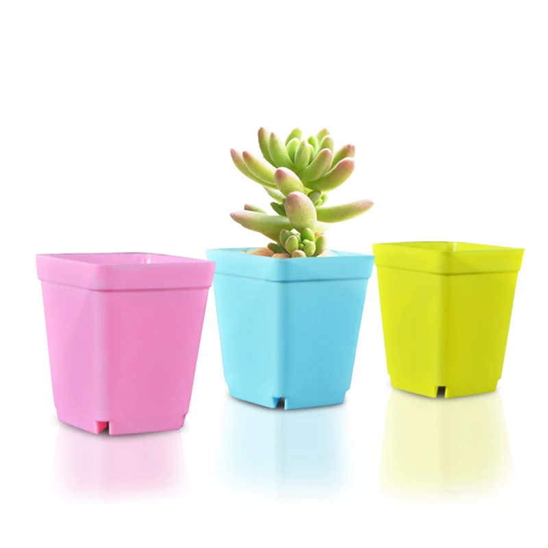 

5pcs Matching tray plastic garden flower pot color square small pot multi-meat plastic flower pot small plant seedling pot
