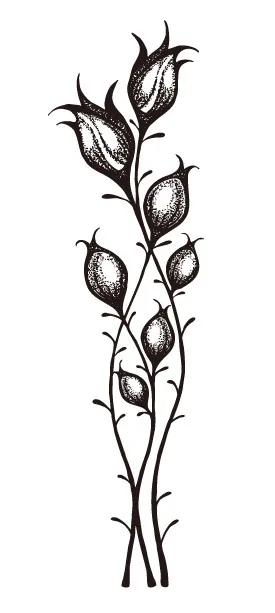

flower Transparent Clear Stamps for DIY Scrapbooking/Card Making/Kids Christmas Fun Decoration Supplies