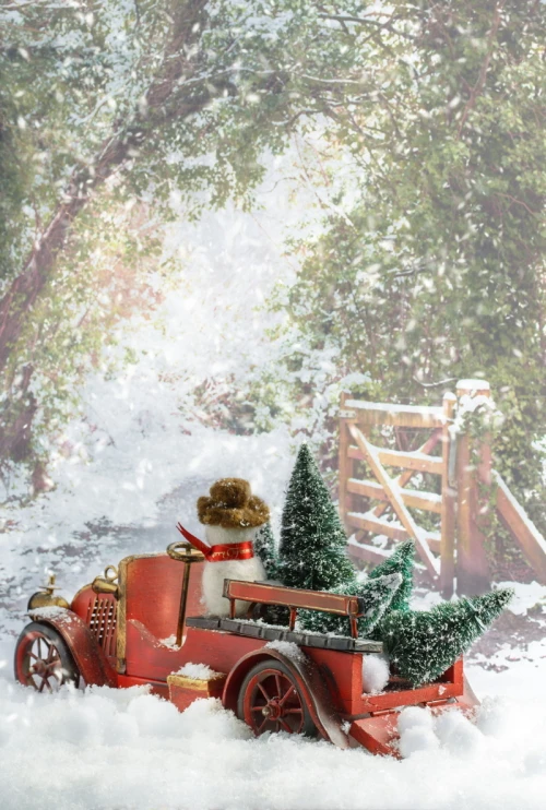 

christmas decorations for home photography backdrops christmas background photo background newborn christmas backdrop xt-4272