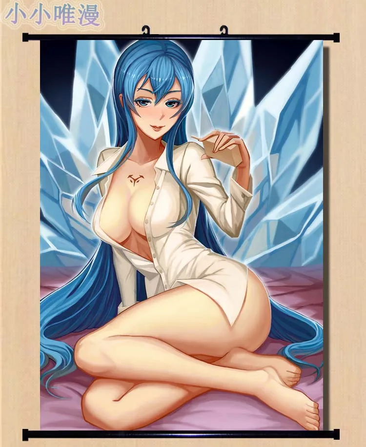 Японские декоративные картинки аниме Akame ga KILL! Персонаж сексуальная девушка Esdese