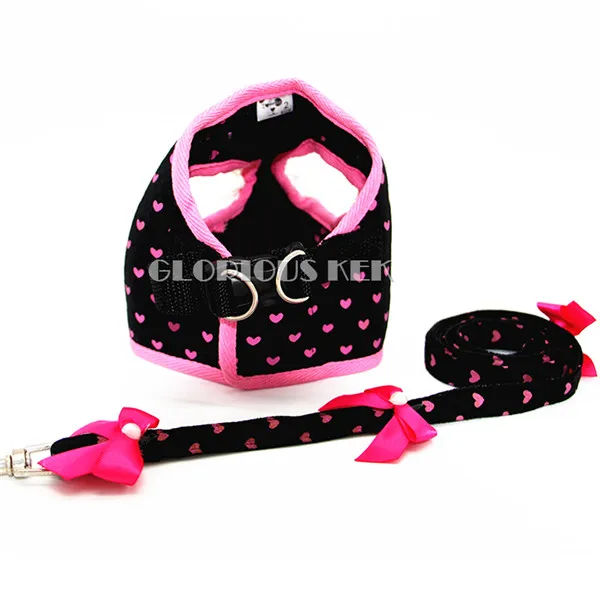 Dog Harness and Leash Set (10)
