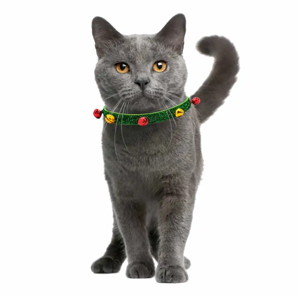 festive cat collars