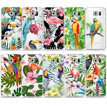 

PUNQZY Case for SamSung Note3 Note4 Note5 A3 A5 A7 A3 2016 A5 2016 A7 2016 A8 A3 2017 A5 2017 A7 2017 S8 S8 Plus The parrot TPU
