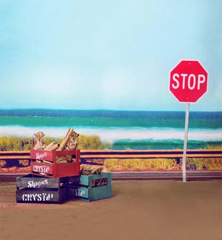 

Newest telones fotograficos 150x200CM Photographic Props Backdrops Digital Printing Thin Vinyl Backdrops Cloth