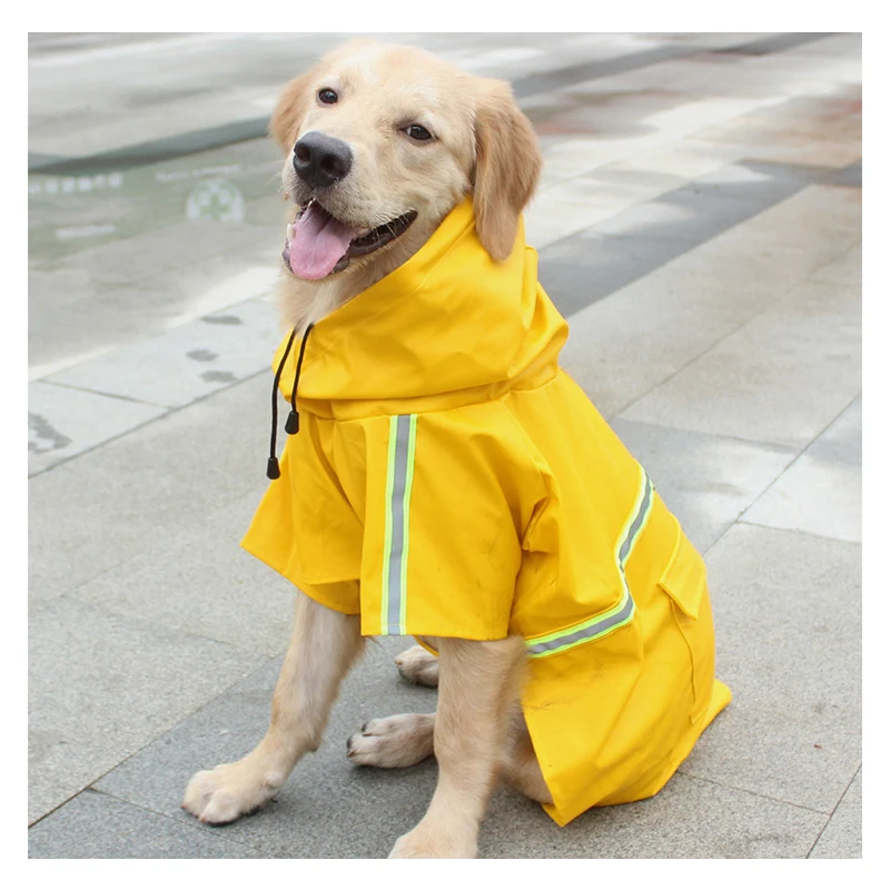 7 dog rain 