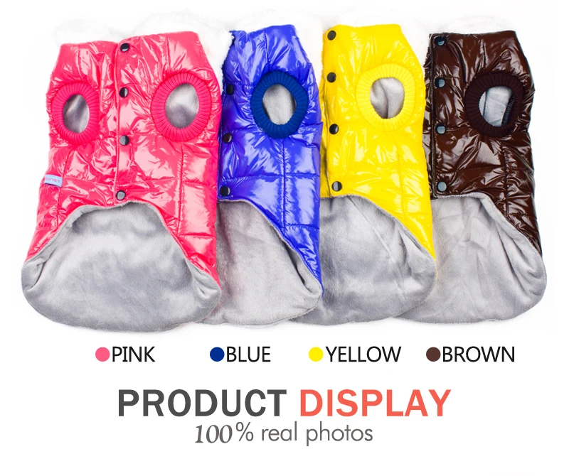 3 dogs pets clothing 