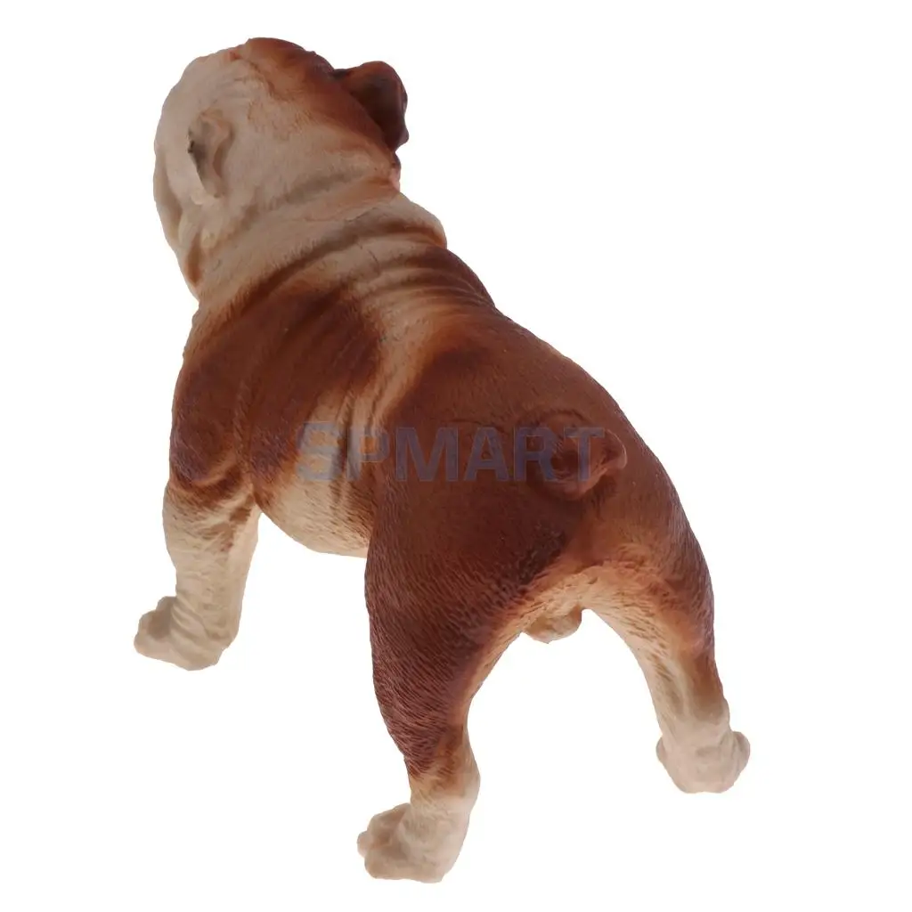 Simulation Wildlife Farm Pet Animal Model Action Figures Figurine Kid Educational Science Nature Toy Home Collectible Decoration