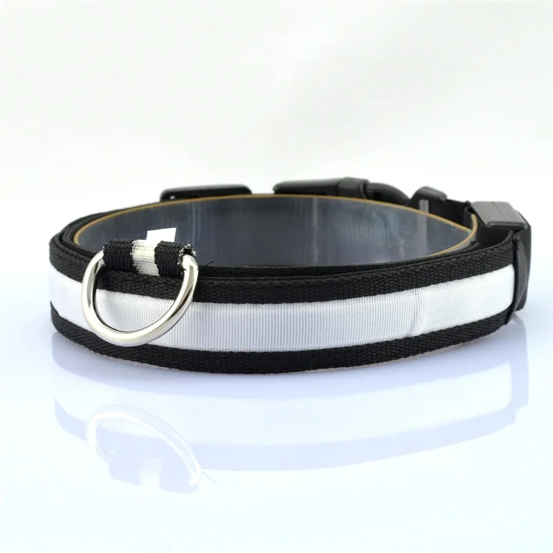 Led Collar (5)
