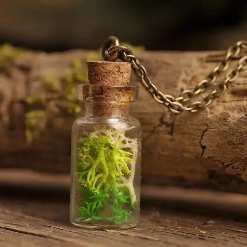 20 шт сказочное лесное стекло флакон ожерелье настоящее со мхом зеленый мох