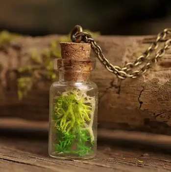 

20pcs Fairy forest glass vial necklace, real moss necklace green moss glass cork pendant antique bronze necklace 11x22mm bottle