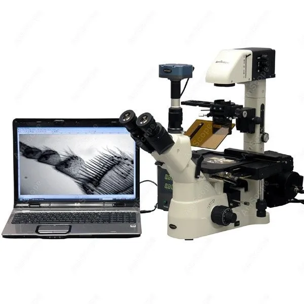 

Contrast Inverted Fluorescence Microscope-AmScope Supplies1500X Phase Contrast Inverted Fluorescence Microscope+1.4MP B/W Camera