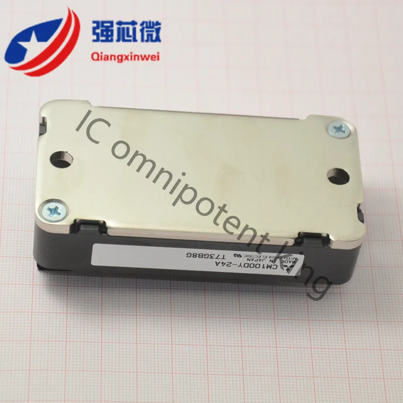 CM100DY-24A  1