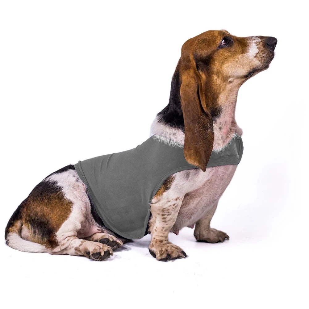 Soft Casual Pet Cotton Blend Dog Jacket Protection Washable Stress Relief Emotional Calm Magic Sticker Anti-Anxiety Unisex | Дом и сад