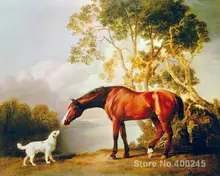 Classic paintings Bay Horse and White Dog George Stubbs Art reproduction High quality Hand painted