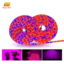 Светодиодный Grow полосы S5050 3/4/5 Красный 1 синий 5 м полный спектр IP65 фито-светильник для парниковых гидропоники растениеводства DC 12V фитолампа