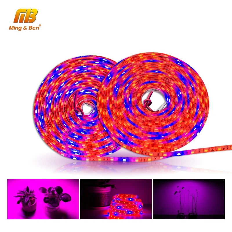 Led Grow Strip S5050 345 Red 1 Blue 5M Full Spectrum Ip65 Phyto Light For Greenhouse Hydroponic Plant Growing Dc 12V Fitolamp huismerk kopen in de aanbieding Led Grow Strip S5050 345 Red 1 Blue 5M Full Spectrum Ip65 Phyto Light For Greenhouse Hydroponic Plant Growing Dc 12V Fitolamp huismerk kopen in de aanbieding