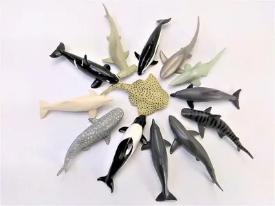 1 Набор игрушечных животных Model 11pcs 7 см морских обитателей (Акула с принтом в виде