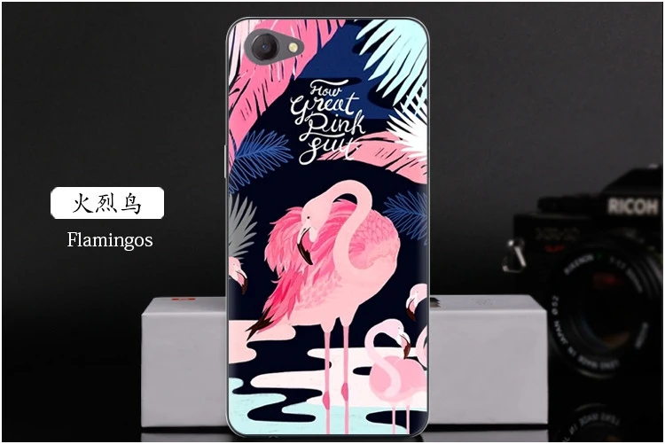 Flamingos