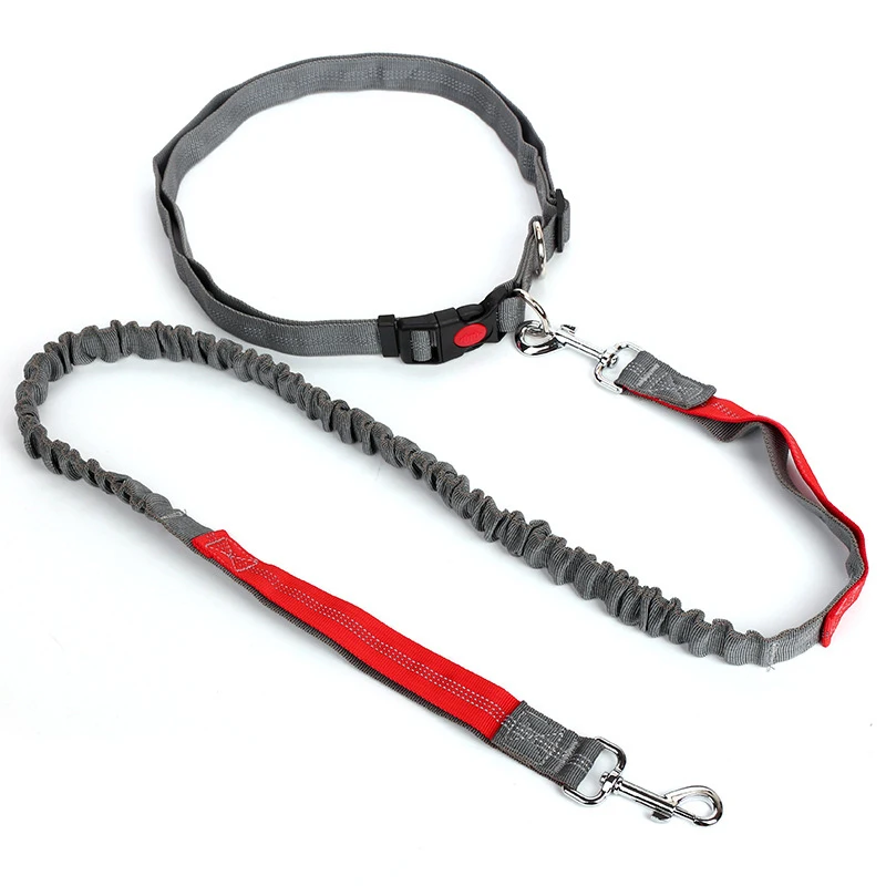 New Elastic Dog Traction Belt Rope Set Dog Leash Pet Run with Keeper Pets Sport Leash With Belt Free Hand Multifunctional Leash4