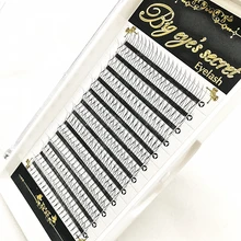 1 лоток 2D объемные ресницы для наращивания предварительно сделанные вентиляторы искусственные Индивидуальные ресницы вентиляторы 2D собственный бренд