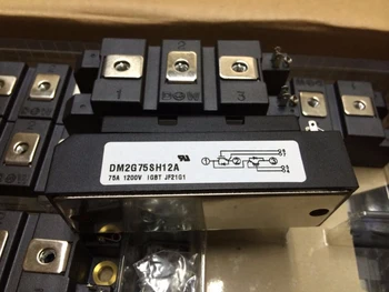 

IGBT IN STOCK DM2G75SH12A Parts & Accessories 1pc