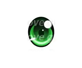 QQ截图20190621201447