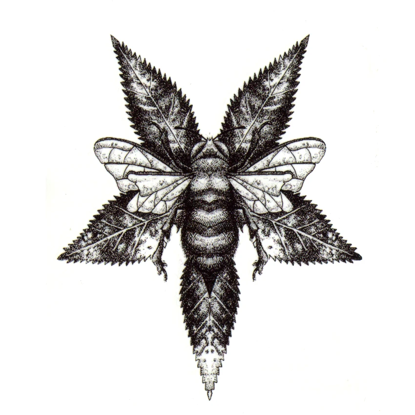ls001