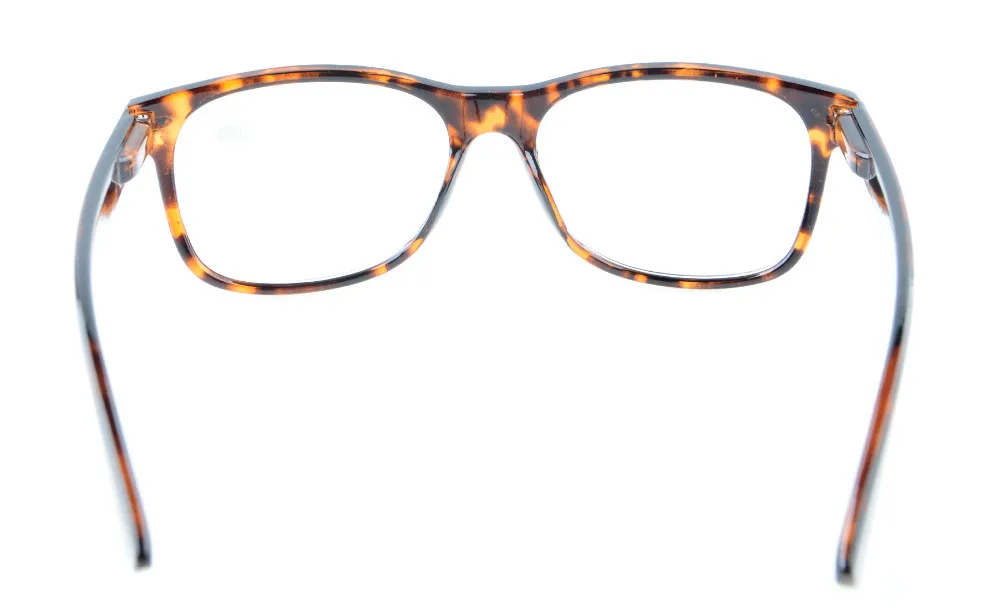 R900DEMI (4)