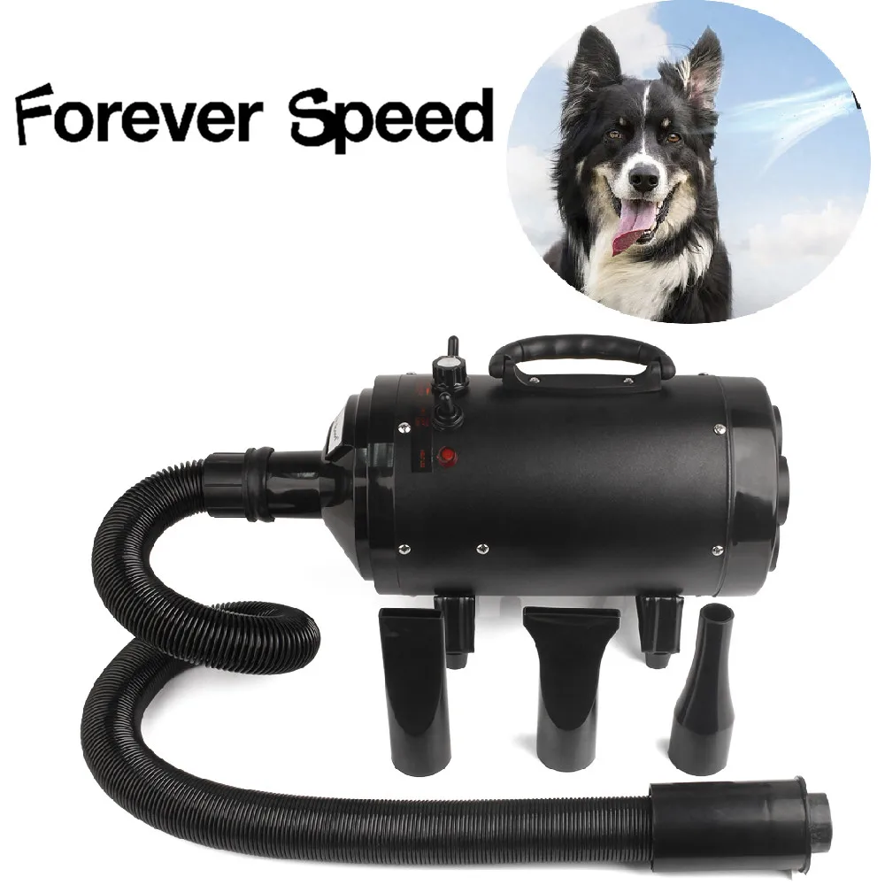 

Professional 2400W Pet Dryer Low Noise Dog hair Dryer Adjustable Cat Grooming Air Blower Adjustable temperature Multifunction