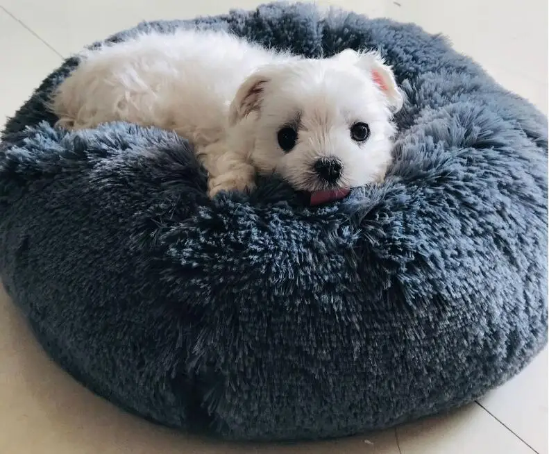 QQ20190510105013