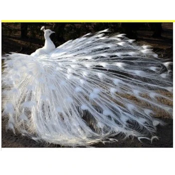 

New 5D Rhinestones Diy Diamond Painting Cross Stitch Full Drill Square Resin Mosaic Diamond Embroidery Needlework White Peacock