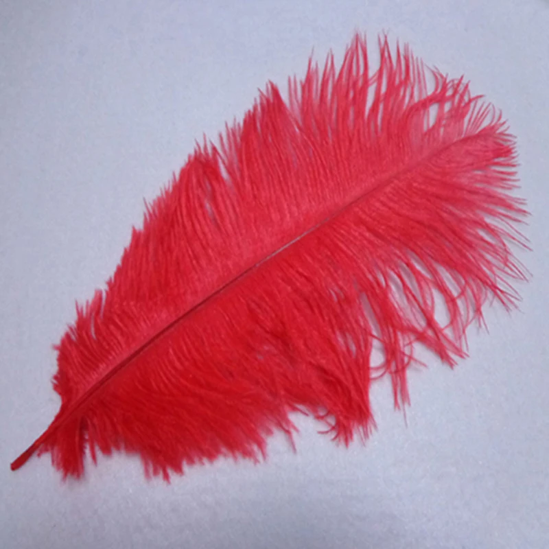 wholesale! High quality 100pcs 10 12 inches / 25 30cm red natural