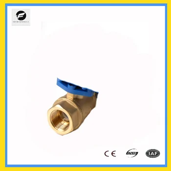 

DN20 brass female-female BSP valve body with gasket