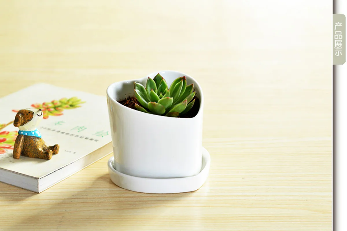 1 Set Minimalist Geometry White Ceramic Succulent Plant Pot Bonsai