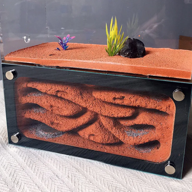 

1PCS Ant Nest Ant Workshop Acrylic Plaster Nest Bubble Concrete Nest New Edition Empire L ants farm house