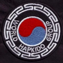 Высококачественная вышитая аппликация на заказ для спортивного клуба логотип значки с железом на одежде