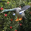 2017 Upgraded Version Dc 6V/12V Remote Control Pe Mallard Decoy Hunting Duck With Magnet Spinning Wings ► Photo 2/6