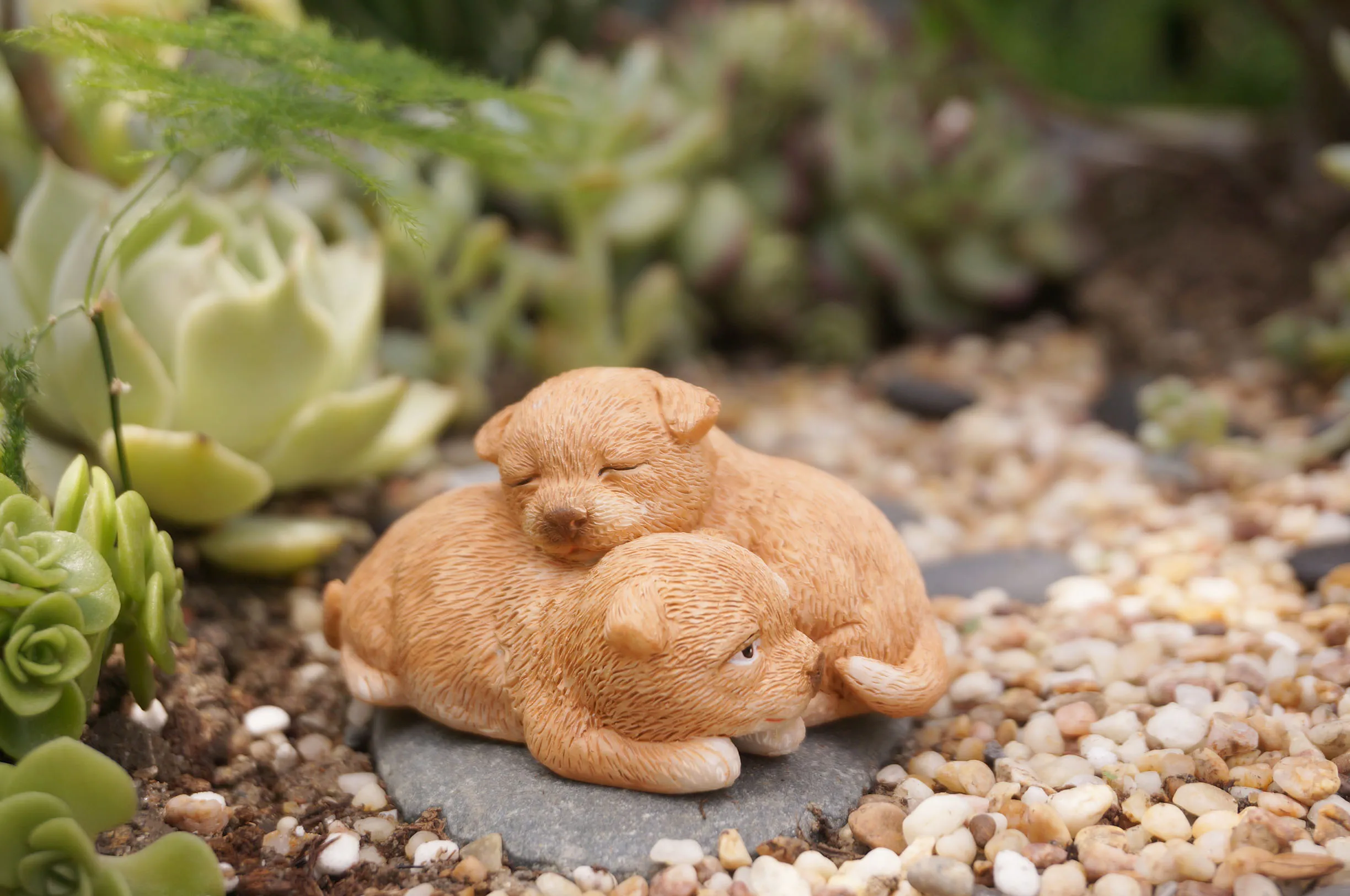 

Fairy Garden Miniature Two sleeping puppies. cute Mini Garden Supplies Terrarium DIY Accessories Car dashboard decoration