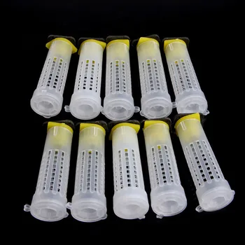 

10 Set/lot Beekeeping Rearing Cup Kit Queen Bee Hair Roller Cages Fixtures Beekeepers Equipment Z07 Drop Shipping